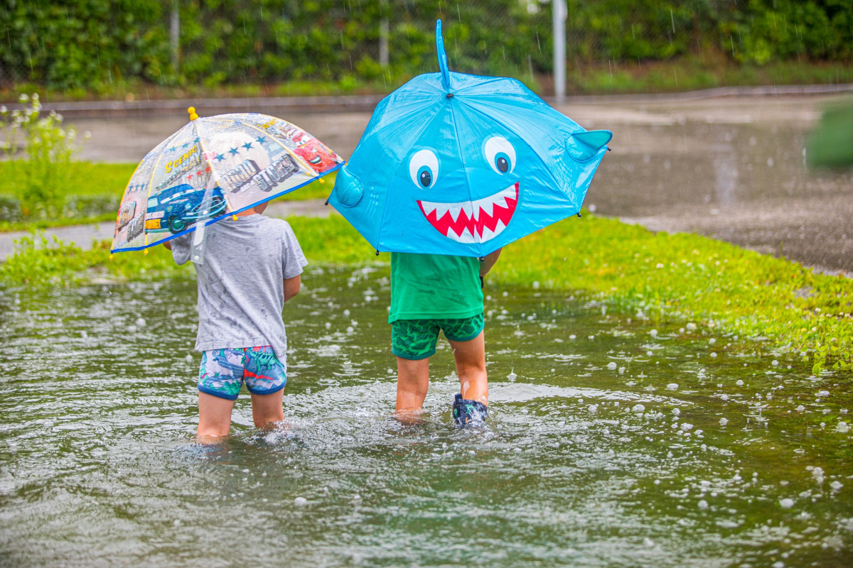 Image credit: Pixabay