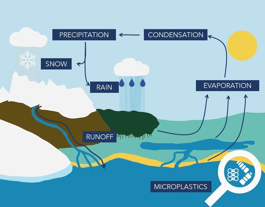 Microplastics in the water cycle; Image plasticcollective.co