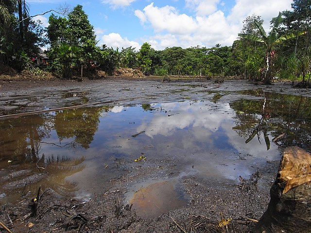 Oil Spill in the Amazon; Image Wikipedia