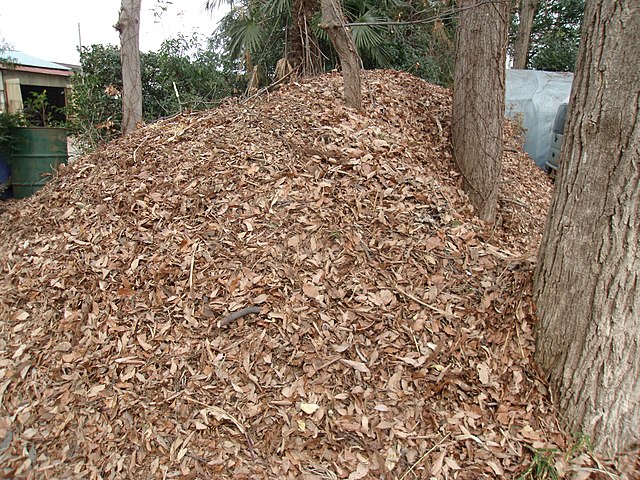 Leaves for composting; Image Wikipedia