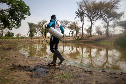 Spraying insecticide in standing water; Image msf.org