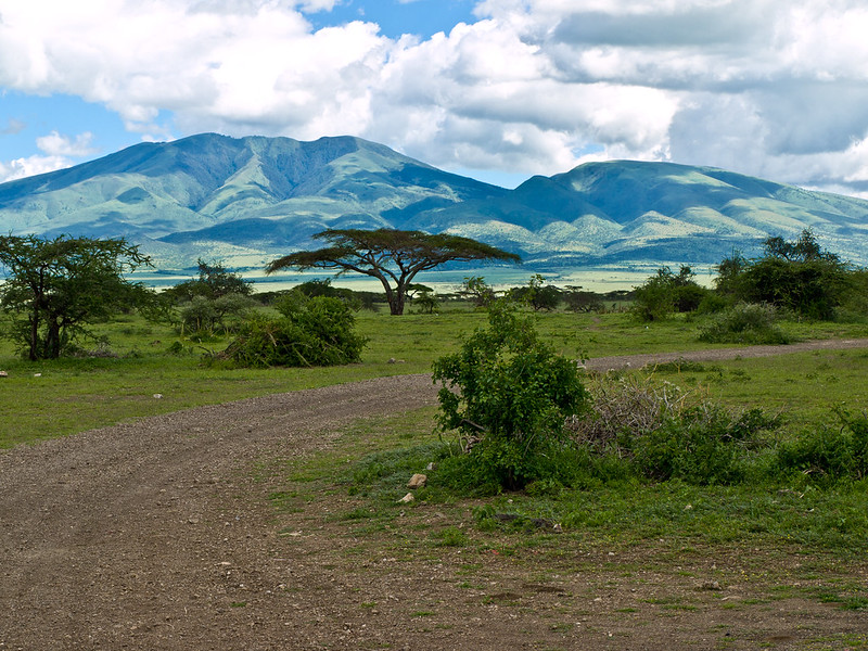 Mountains of East Africa; Image Flickr/William Warby