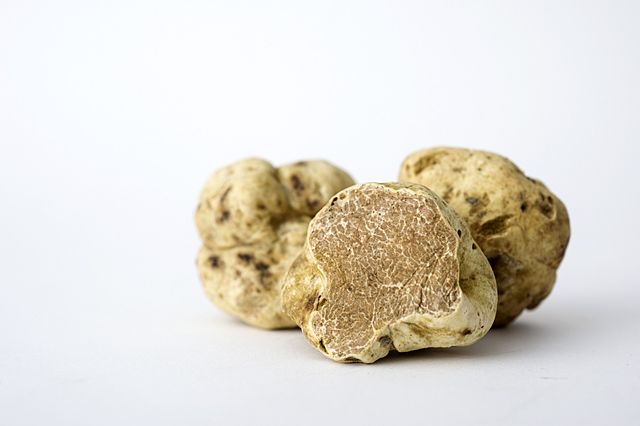 White truffles; Image Wikipedia