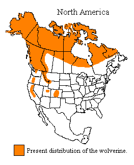 Image Michigan State Univ