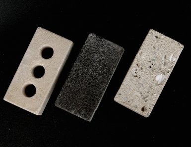 From bacteria to bricks! Image courtesy BioMason