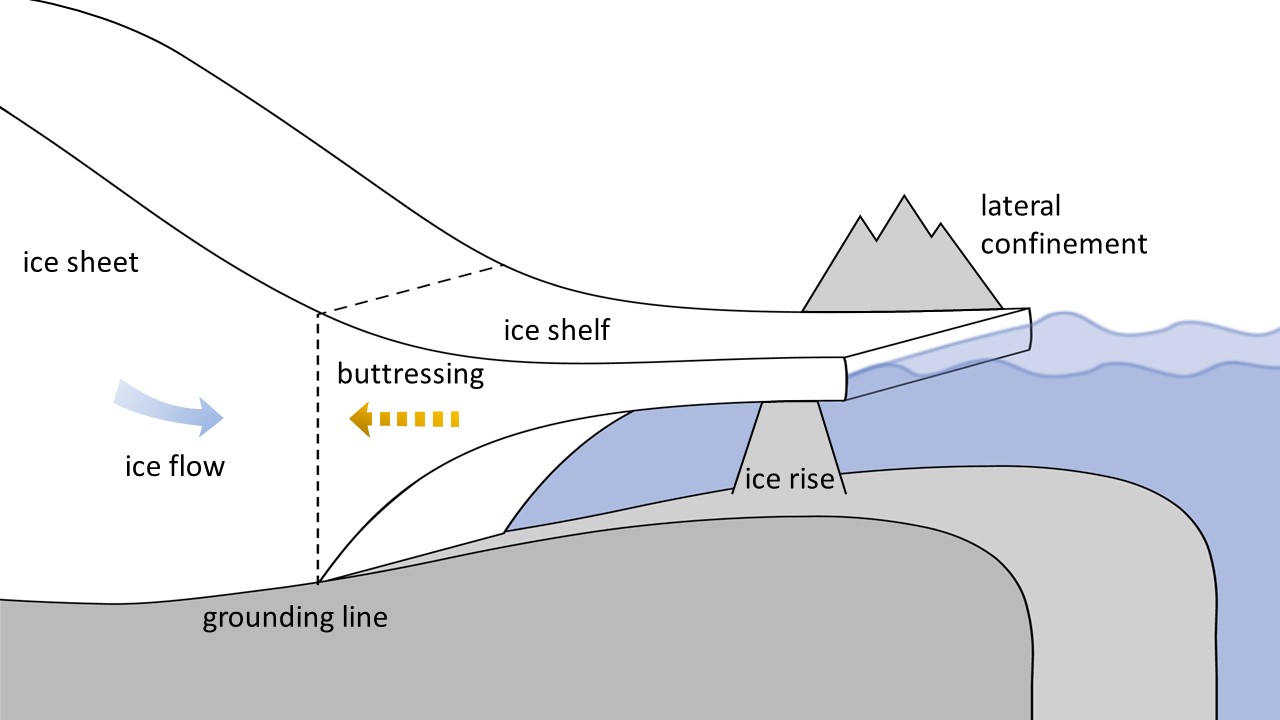 Grounding line and a protrusion (pinning point) that slows the movement of the ice shelf; Source: Ronja Reese & Maria Zeitz, EGU