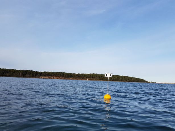 Image credit Andres Kalamees/RSPB/PA