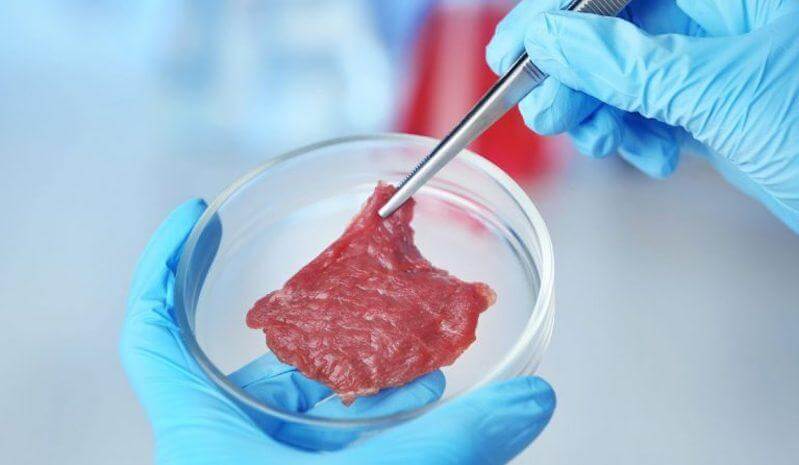 Lab-grown meat; Image credit Blair Kunkel/Genetic Literacy Project