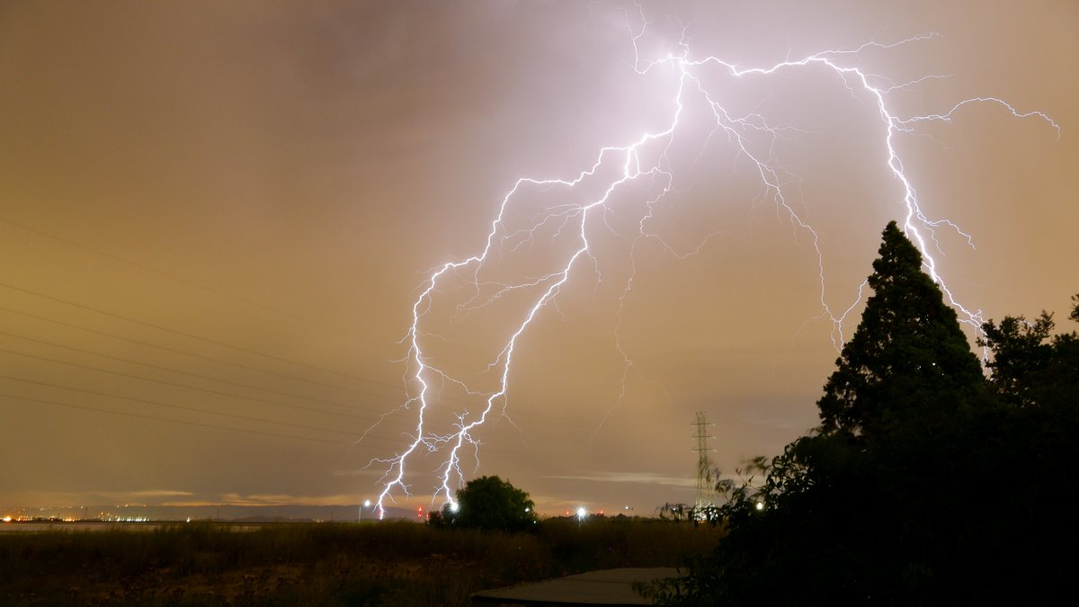 Image credit John B/Twitter