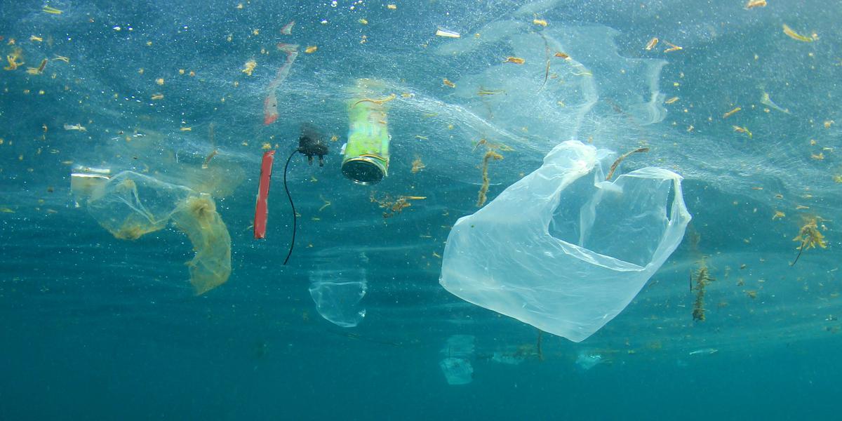 Plastic harms marine life (University of Tasmania)