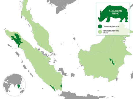 Their last homes (in dark green) in the wild; Image credit Wikimedia/CC