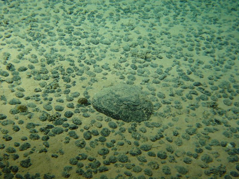 Nodules on ocean floor; Image ifremer.fr