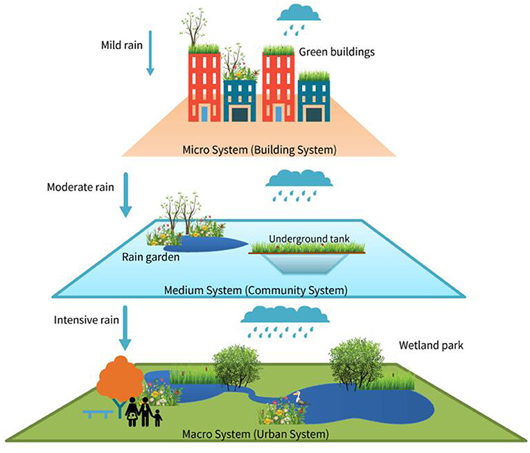 Image frontiersin.org; Click image to expand