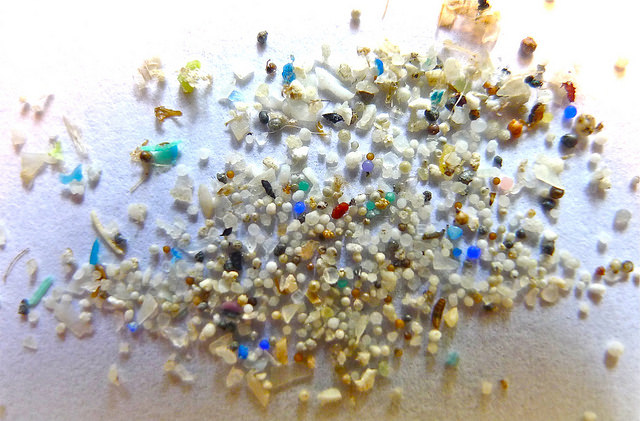 Microplastics; Image credit OSU/Flickr/CC