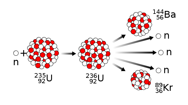Fission; Image Credit Wikipedia