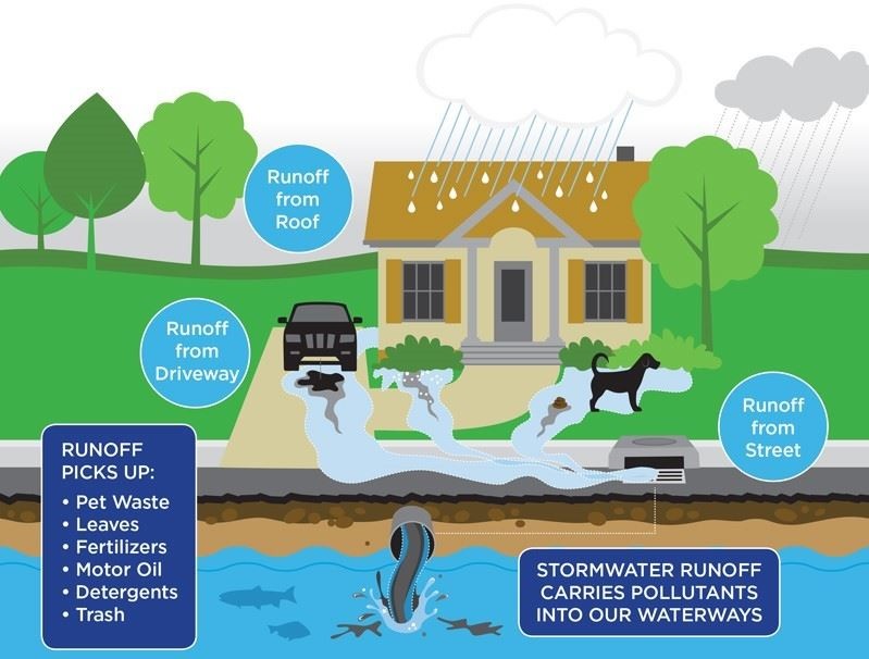 Image credit: gardnerk12.org