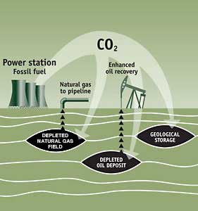 Capturing carbon; Image c2es.org