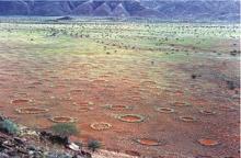 The Mystery Of Fairy Circles 