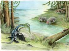 A New Discovery: The Antarctic King!