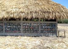 Your Plastic Bottles, My Future