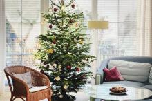 Christmas Tree: Real Or Plastic?