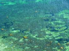 Mysterious Circles In The Ocean Floor