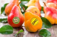 What Do These Food Labels Mean?