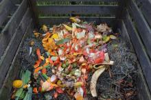The Science Of Composting