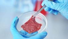 The Debate Over Lab-Grown Meat