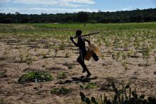 A Food Crisis In Madagascar