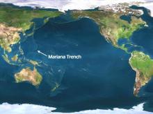 How Polluted Is The Mariana Trench?