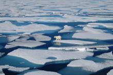 Why Is Arctic Sea Ice Disappearing?