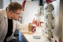 The Race For An Alternate Palm Oil