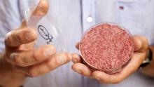 FDA Approves Second Lab-Grown Meat