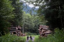 Protecting Tongass National Forest