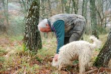 The Changing Art Of Truffle Hunting