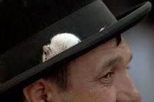 Are You Carrying Invasive Aliens?