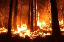 Fires In The World's Largest Rainforest